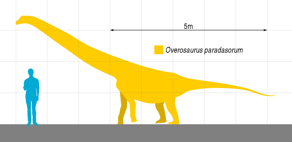 Scale height - Wikipedia