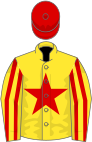 Yellow, red star, striped sleeves, red cap