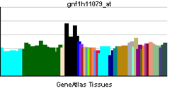 PBB GE OR5T2 gnf1h11079 ĉe tn.png