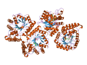 2bp1: STRUCTURE OF THE AFLATOXIN ALDEHYDE REDUCTASE IN COMPLEX WITH NADPH