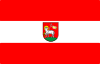 Flag of Wieluń County