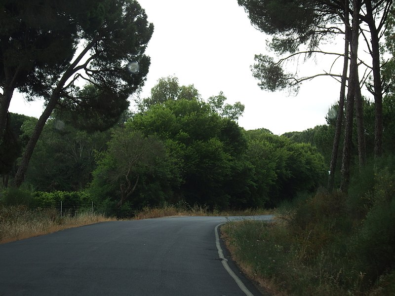 File:Paisaje de la provincia de Huelva 03.jpg