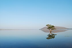 Pakhal Lake in Khanapur Mandal