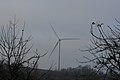 Français : parc éolien à Guilberville - manche - France