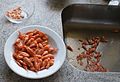 Peeling cooked and self-caught Baltic prawns, Mors