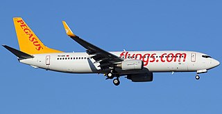 <span class="mw-page-title-main">Pegasus Airlines Flight 2193</span> February 2020 runway overrun incident in Istanbul, Turkey