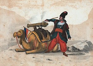 Persian Zembouraki Camel Artillery.jpg