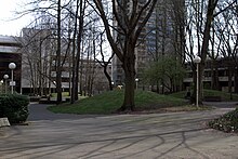 A winter view of the park Pettygrove Park - Portland Oregon.jpg