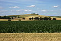 Čeština: Zlatá pole nedaleko Piławy Gornej, Dolnoslezské vojvodství, Polsko English: Golden fields around Piława Górna, Lower Silesian Voivodeship, Poland