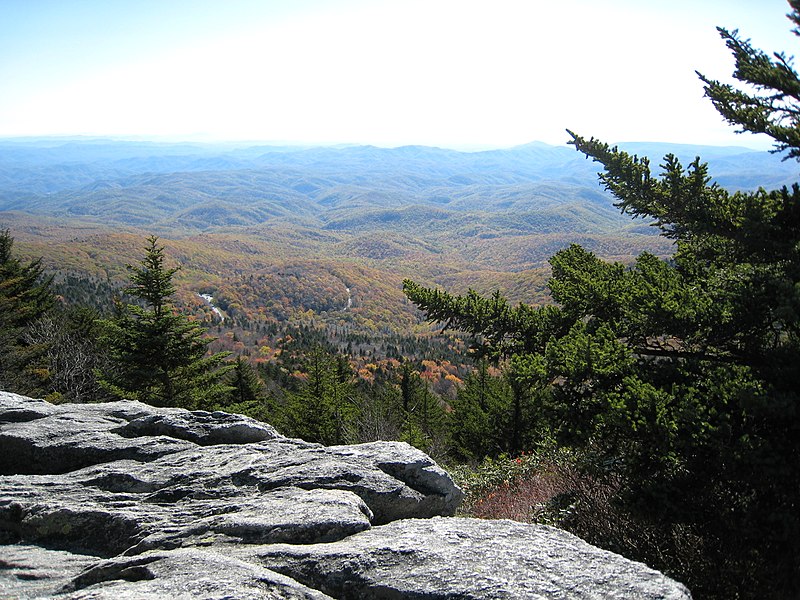 File:Picea rubens Abies fraseri Grandfather Mountain.jpg