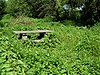 Picnic area, Berengrave nature reserve - geograph.org.uk - 189214.jpg