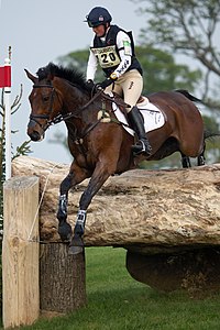 Schweinchen Französisch Jakata Steinbruch Badminton 2011.jpg