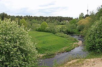 Река Пирита в микрорайоне Козе