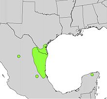 Ареал Pithecellobium flexicaule map.jpg