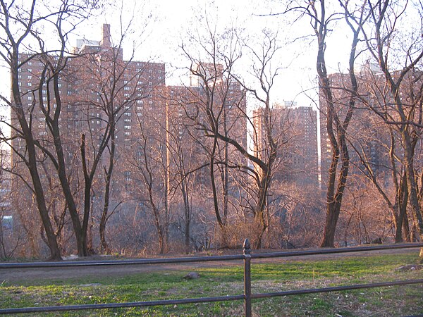 The Polo Grounds Towers from Coogan's Bluff