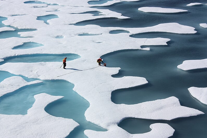 Ponds on the Ocean, ICESCAPE.jpg