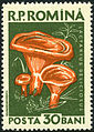 Briefmarke aus Rumänien, 1958