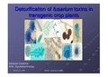 Presentation-Detoxification of fusarium toxins in transgenic crop plants by rakesh khadka.pdf
