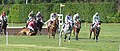 * Nomination Horse and jockey falling during steeplechase race. --Tsaag Valren 13:02, 8 August 2020 (UTC) * Promotion  Support Good quality. --Ermell 09:01, 9 August 2020 (UTC)