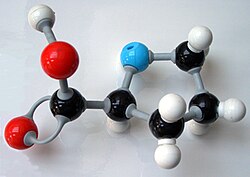 Кулестержнева модель молекули проліну, зроблена з пластику