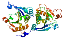 Protein EIF4E PDB 1ej1.png