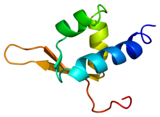 <span class="mw-page-title-main">GTF2F2</span> Protein-coding gene in the species Homo sapiens