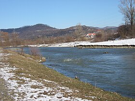Râul Târgului by Mihăeşti winter 2010 2.JPG