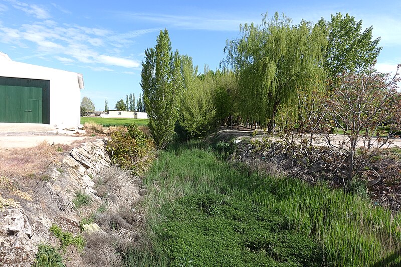 File:Río de Santa María del Campo Rus.jpg