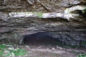 Peștera Ponoarele