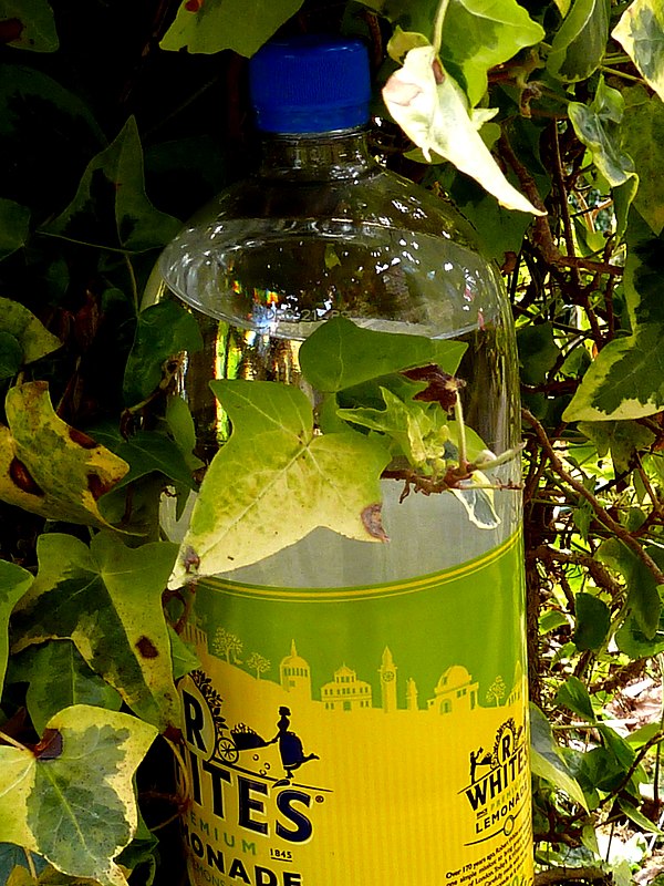 Carbonated lemonade (R. White's lemonade soft drink pictured), typical in the UK, Ireland and Oceania