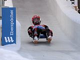 Deutsch: Vorletztes Saisonrennen im Rennrodel-Weltcup der Saison 2014/15 vom 19. bis 22. Februar 2015 in Altenberg/Erzgebirge. Tag 2: Freitagstraining. English: Luge world cup race season 2014/15 in Altenberg/Germany, 19th to 22nd Februar 2015. Day 2: Friday trainings.