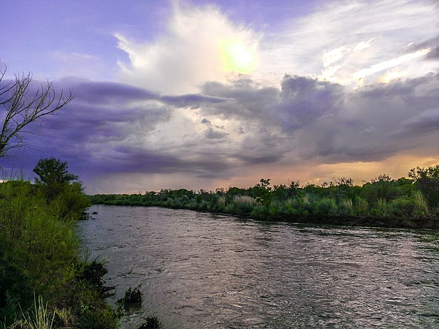 A riverine islet in the Rio Grande, seen from North Valley, New Mexico.