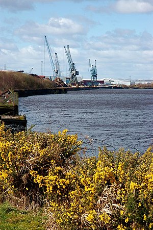 View of the docks at the River Clyde River Clyde Looking Towards King George V Dock - geograph.org.uk - 372544.jpg