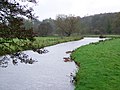 River Wylye - geograph.org.uk - 1660741.jpg