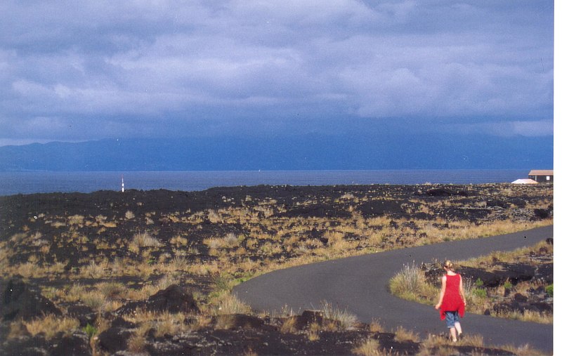 File:Road through lava field, Pico Island - panoramio.jpg