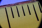 Edge of a ruler as a 3:1 macro [D]