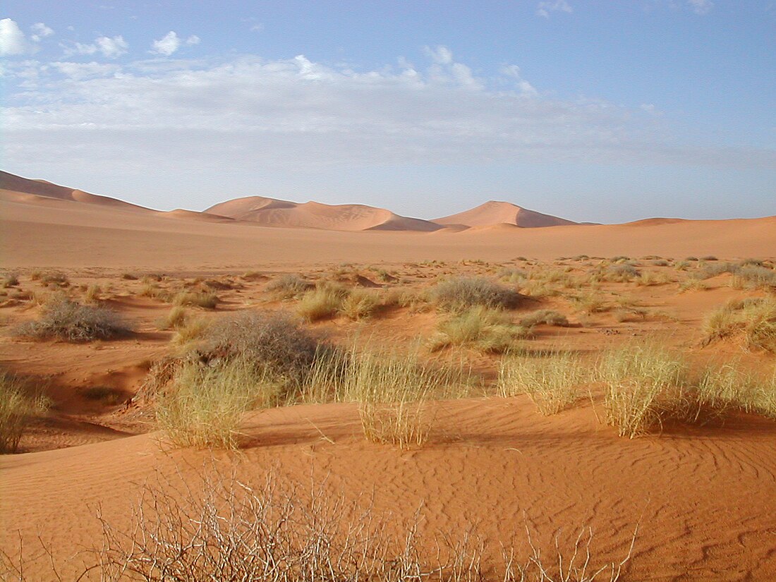 File:Sahara.jpg