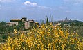 San Gimignano-110-Stadt von weitem-1979-gje.jpg