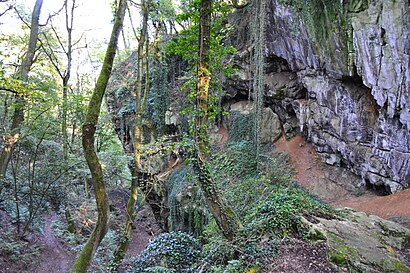 How to get to Grottes Schmerling with public transit - About the place