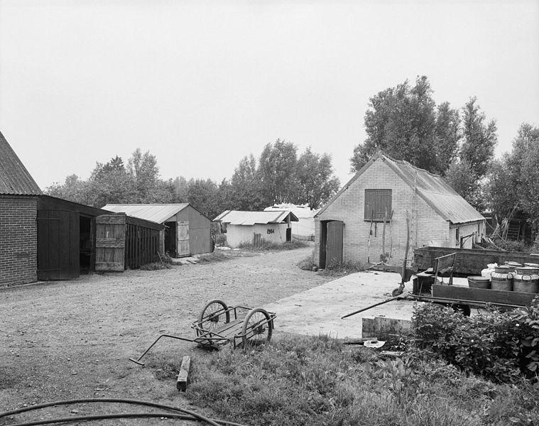 File:Schuren achter boerderij - Brandwijk - 20039602 - RCE.jpg