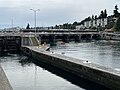 Ballard Locks