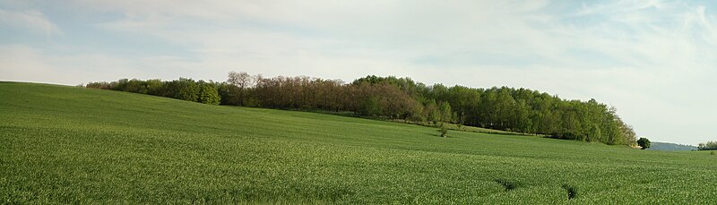 File:Severní panorama Velkých Družďav.jpg