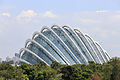 * Nomination Singapore: Cloud forest cupola in The Gardens by the Bay --Cccefalon 04:10, 7 April 2015 (UTC) * Promotion  Support Good quality.--Johann Jaritz 04:31, 7 April 2015 (UTC)