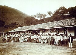 Slaven op een Braziliaanse koffieplantage, 1885