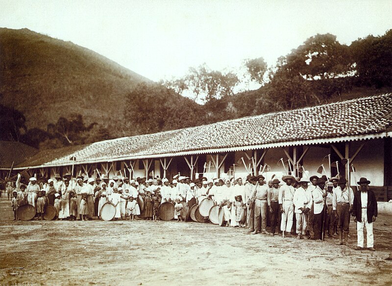 File:Slaves in coffee farm by marc ferrez 1885.jpg