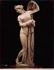 Sommer, Giorgio (1834-1914) - n. 1521 - Napoli Museo nazionale - Venere callipigia.jpg