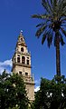 Deutsch: Spanien, Cordoba, Turm der Mezquita English: Spain, Cordoba, Tower of the Mosque-Cathedral