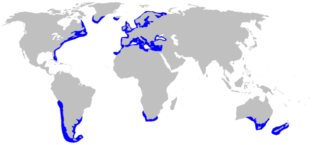 Mapa występowania