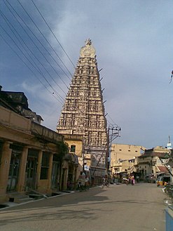Sri Ranganathaswamy Temple, Galigopuram, Nellore (7).jpg