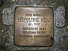 Stolperstein Leopoldine Herz, 1, Steinheimer Vorstadt 9, Steinheim, Hanau, Main-Kinzig-Kreis.jpg